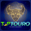 Logo da TOPTOURO
